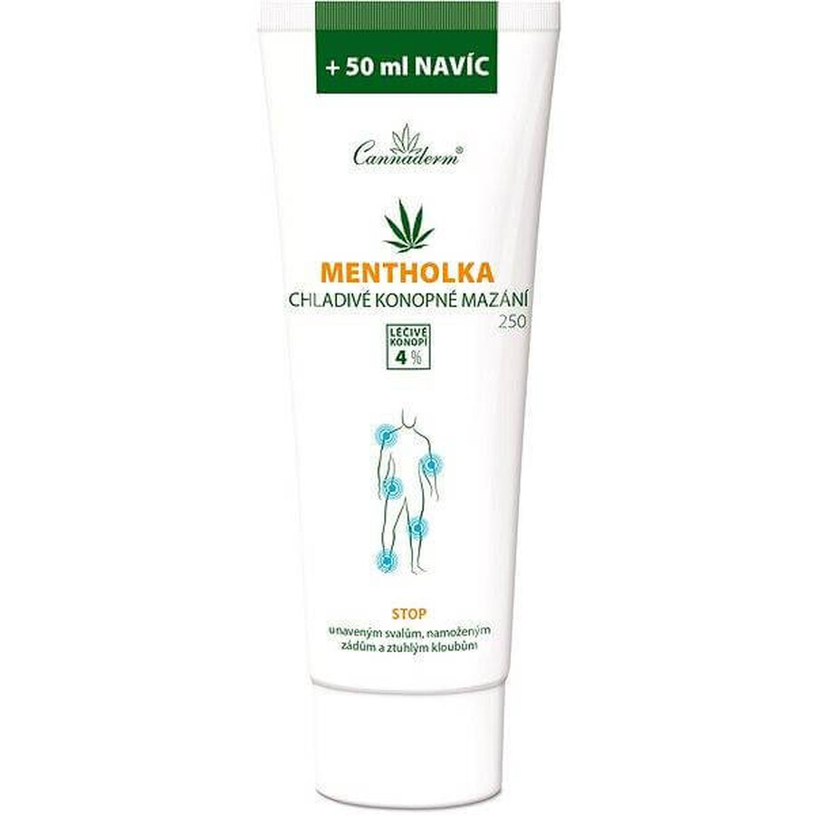 Cannaderm Thermolka - wärmendes Hanf-Gleitmittel 1×250 ml, Massage-Gel