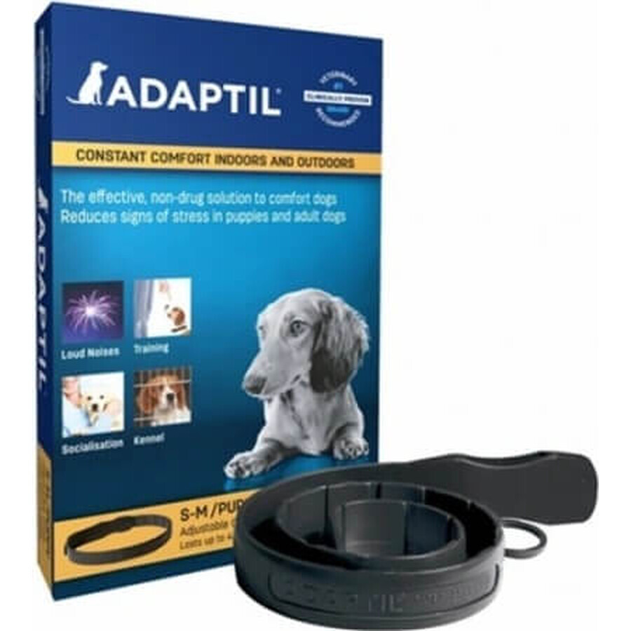 Adaptil halsband voor kleine honden 1×1 stuk, lengte 45 cm