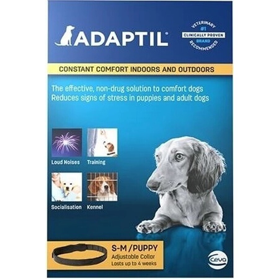 Adaptil halsband voor kleine honden 1×1 stuk, lengte 45 cm