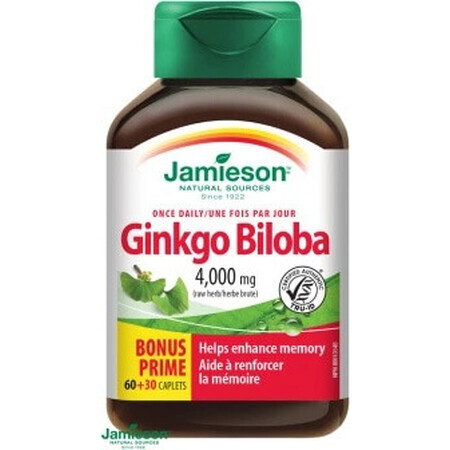 JAMIESON GINKGO BILOBA 1×90 tbl, ginkgo