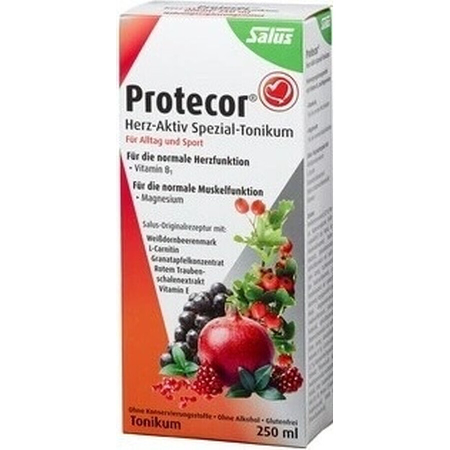 SALUS Protecor Active Heart Herbal Tonic 1x250 ml