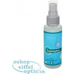 SALOOS Luchtverfrisser Eucalyptus 1×50 ml aroma Eucalyptus Luchtspray