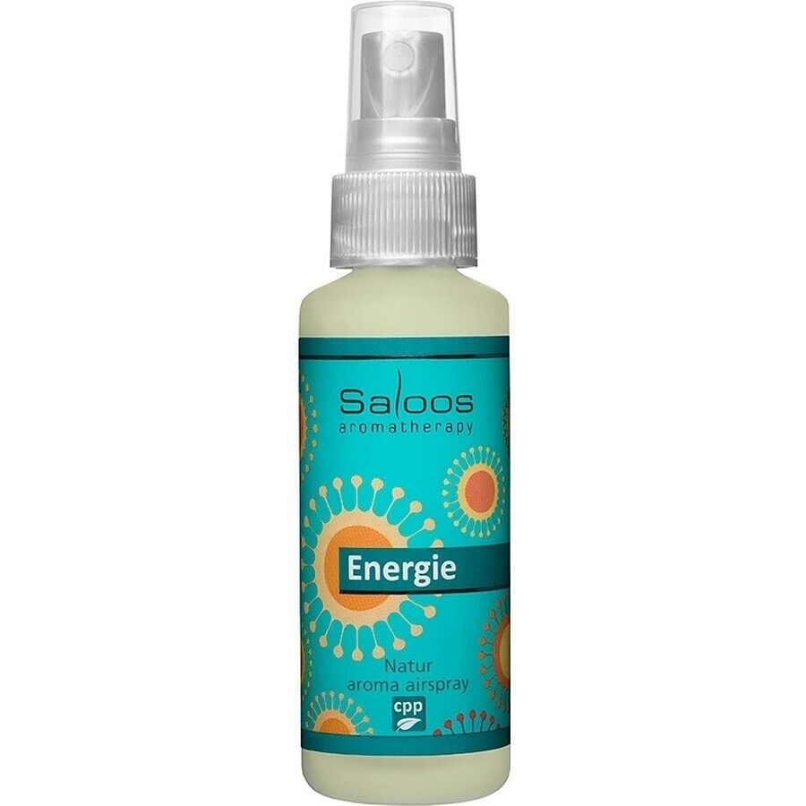 SALOOS Luchtverfrisser Eucalyptus 1×50 ml aroma Eucalyptus Luchtspray