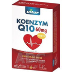 KOENZYM Q10 60 mg FORTE 1×60 cps, cu vitamina E și seleniu