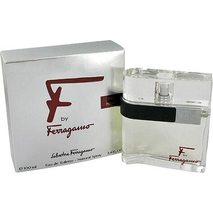 Salvatore Ferragamo F Pour Homme Edt 100ml 1×100 ml, eau de toilette