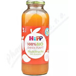 HiPP 100% Bio suc de fructe cu morcov 1×330 ml, suc de fructe