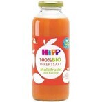 HiPP 100% Bio suc de fructe cu morcov 1×330 ml, suc de fructe