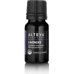 Alteya Organics Olio di lavanda 1×10 ml, olio essenziale