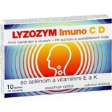 LYZOZYM Imuno C D met selenium en vitamine E en K 10 tbl. om te kauwen 1×10 tbl. om te kauwen