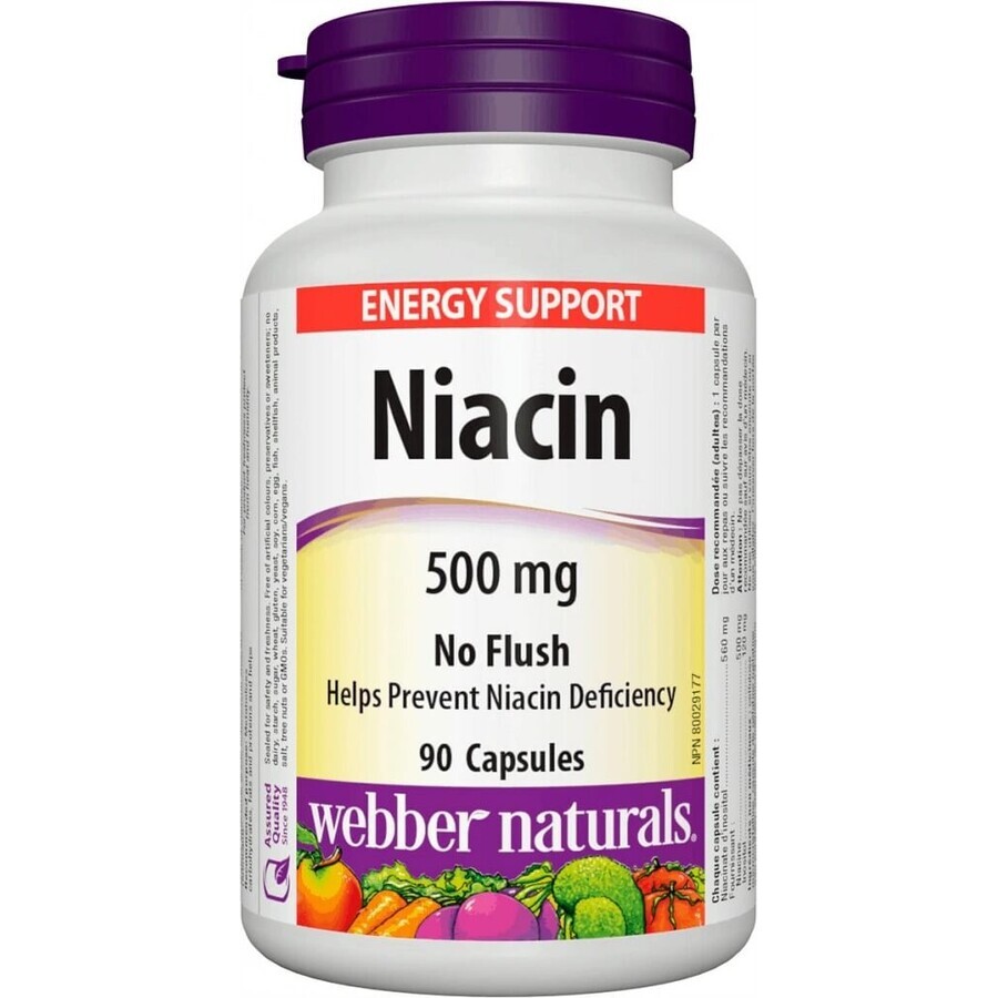 WEBBER NATURALS Niacin B3 500 mg non-allergenic! 1×90 cps, food supplement