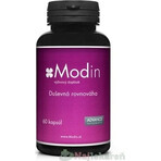 Modin 60 capsules - mentaal evenwicht 1×60 cps, voedingssupplement