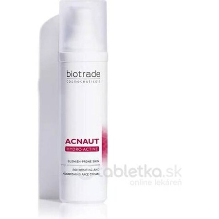 BioTrade Acnaut Acnaut Hydroactive Skin Cream 1×60 ml, skin cream