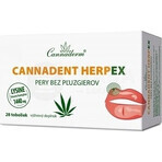 Cannaderm Cannadent Herpex 1×28 tbl, voedingssupplement