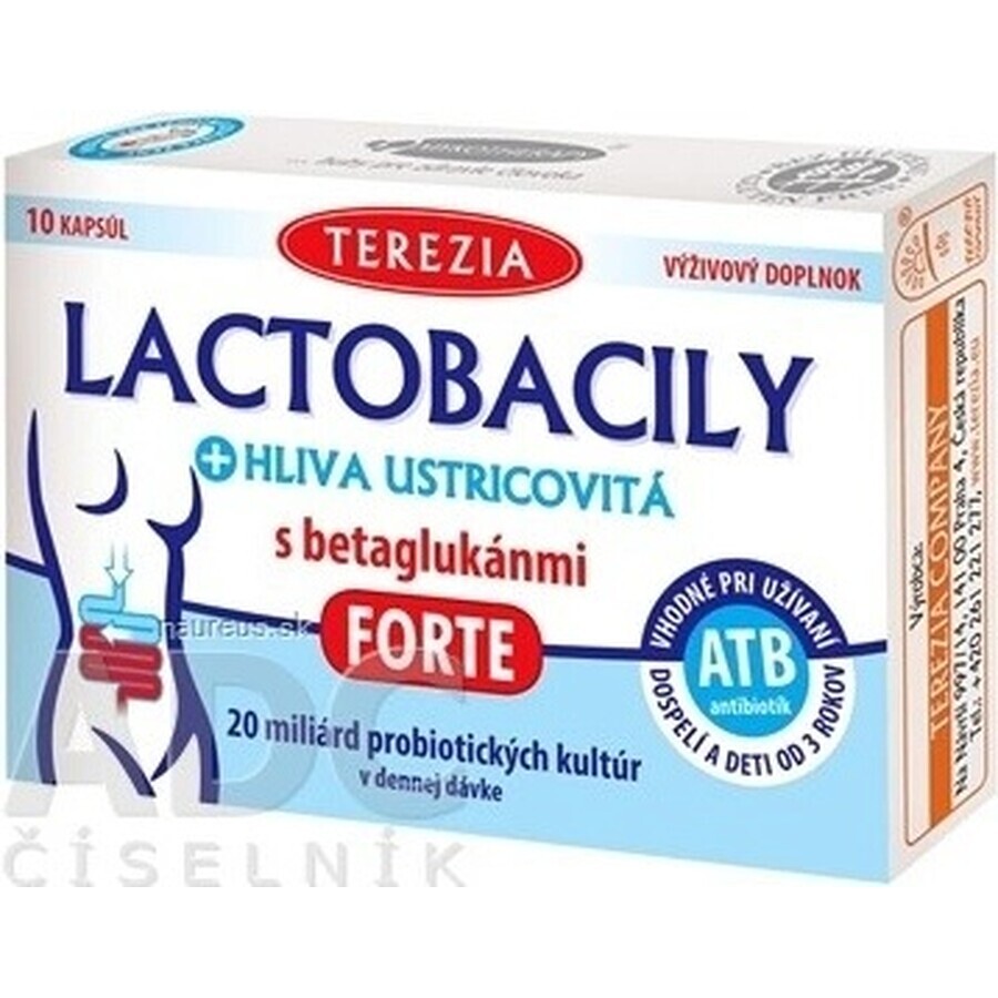 TEREZIA LACTOBACILY + USTRICOUS FUNGUS 1x10 cps, met beta-glucanen FORTE