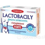 TEREZIA LACTOBACILY + USTRICOUS FUNGUS 1x10 cps, met beta-glucanen FORTE