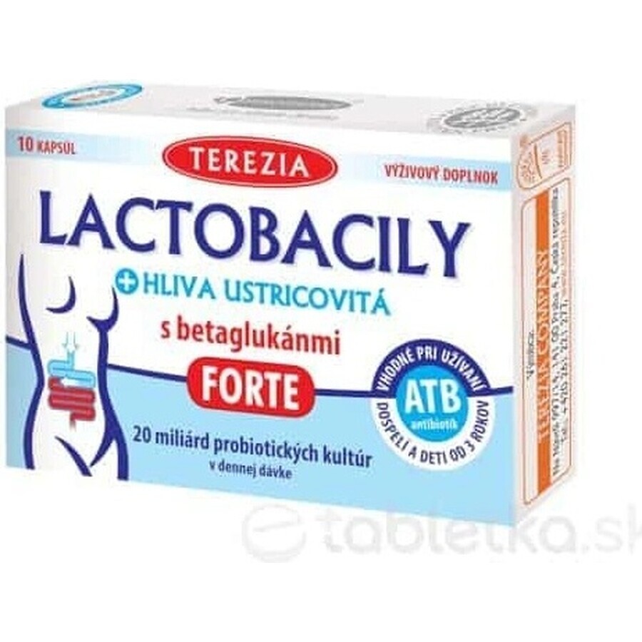 TEREZIA LACTOBACILY + USTRICOUS FUNGUS 1x10 cps, met beta-glucanen FORTE