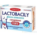 TEREZIA LACTOBACILY + USTRICOUS FUNGUS 1x10 cps, met beta-glucanen FORTE