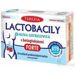 TEREZIA LACTOBACILY + USTRICOUS FUNGUS 1x10 cps, met beta-glucanen FORTE