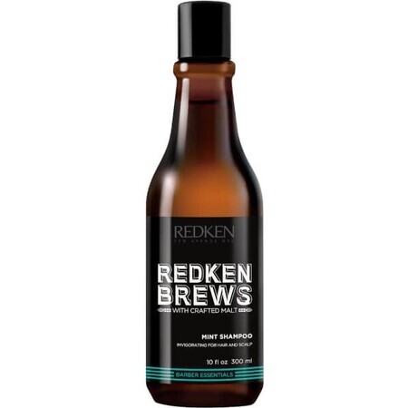 Redken Men's Invigorating Mint Hair Shampoo Brews 1×300 ml, shampoo