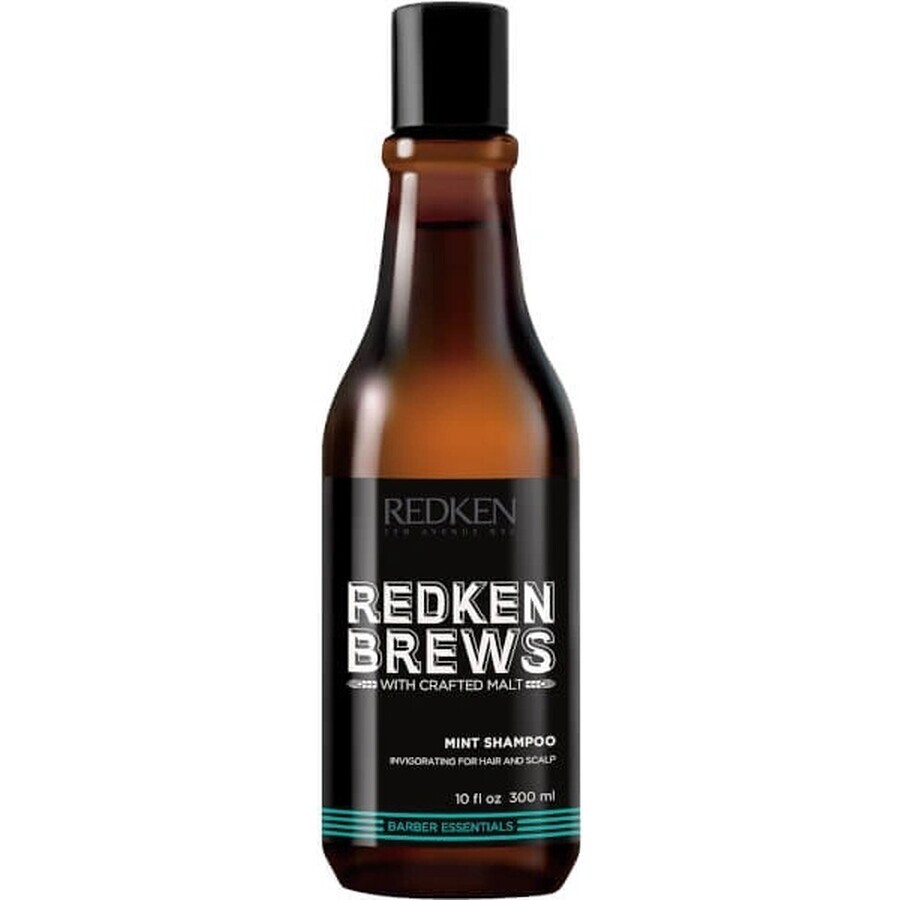 Redken Men's Invigorating Mint Hair Shampoo Brews 1×300 ml, shampoo