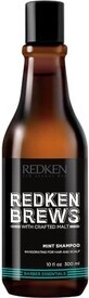 Redken Men&#39;s Invigorating Mint Hair Shampoo Brews 1&#215;300 ml, shampoo