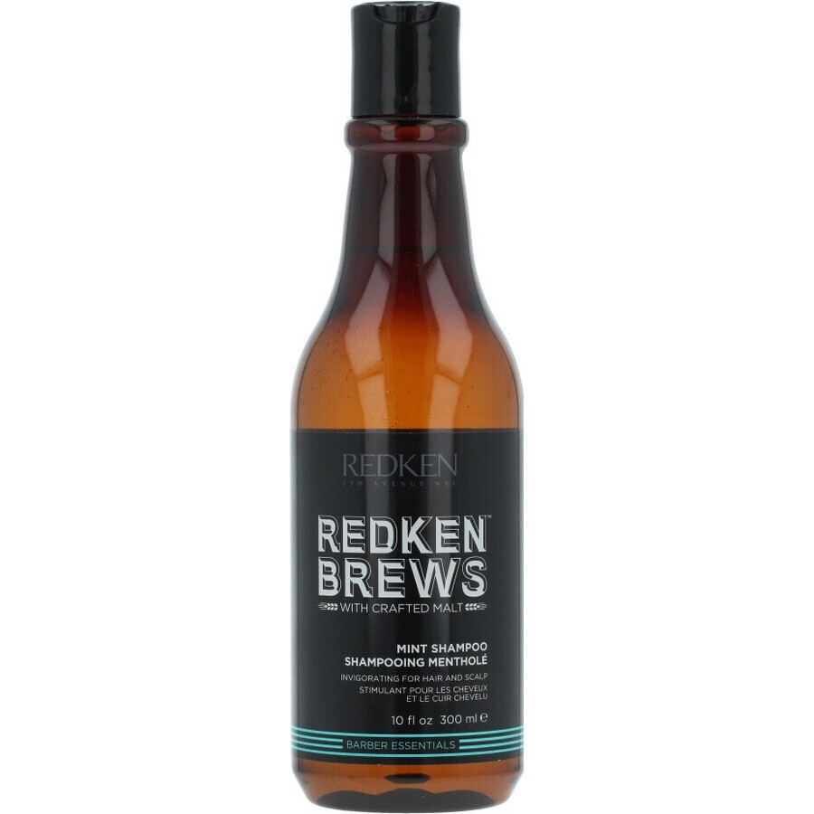 Redken Men's Invigorating Mint Hair Shampoo Brews 1×300 ml, shampoo