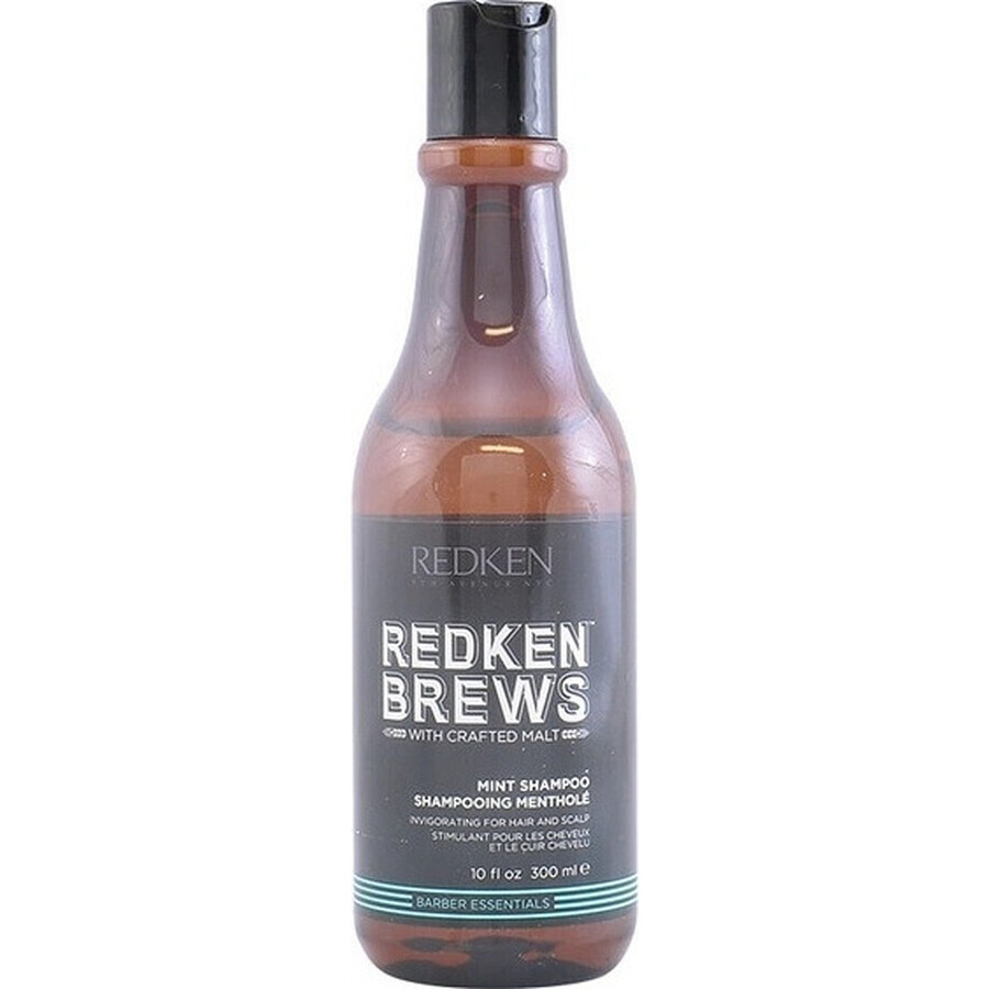 Redken Men's Invigorating Mint Hair Shampoo Brews 1×300 ml, shampoo