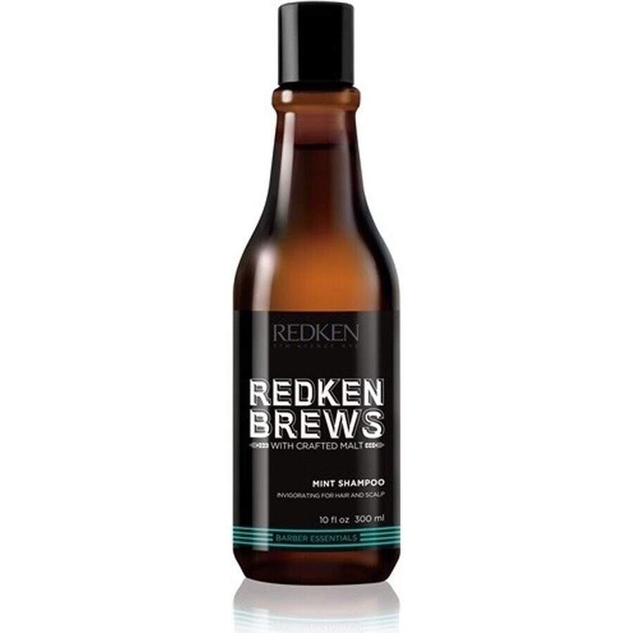 Redken Men's Invigorating Mint Hair Shampoo Brews 1×300 ml, shampoo