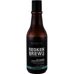 Redken Men's Invigorating Mint Hair Shampoo Brews 1×300 ml, shampoo