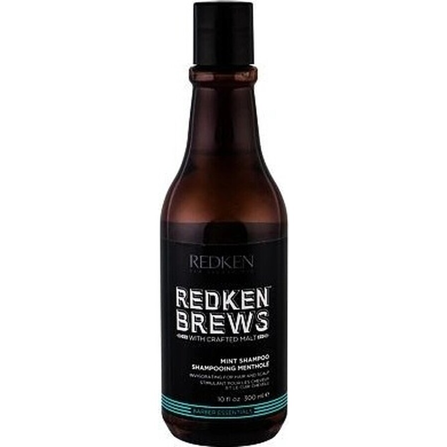 Redken Men's Invigorating Mint Hair Shampoo Brews 1×300 ml, shampoo