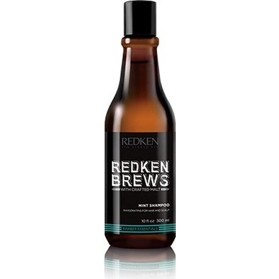 Redken Men's Invigorating Mint Hair Shampoo Brews 1×300 ml, shampoo