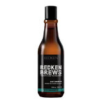 Redken Men's Invigorating Mint Hair Shampoo Brews 1×300 ml, shampoo