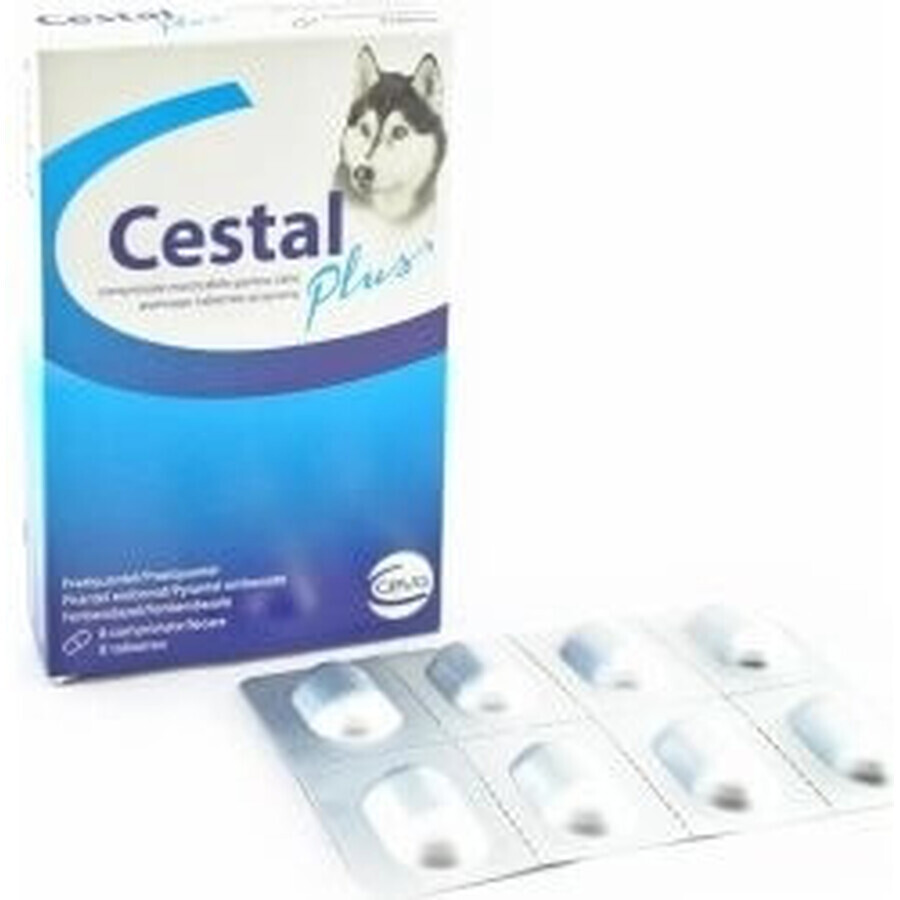 Cestal Plus Kautabletten für Hunde 1×8 tbl, Parasitengeschmackstabletten für Hunde