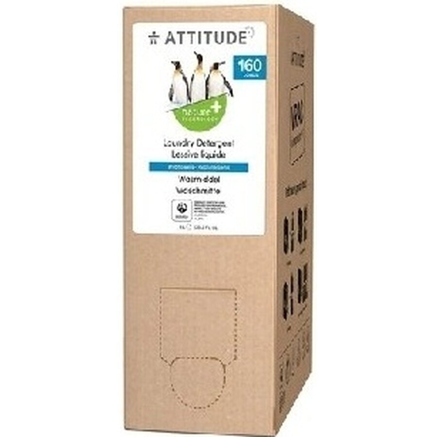 ATTITUDE Meadow Flower Scented Washing Gel 1×1050 ml, washing gel