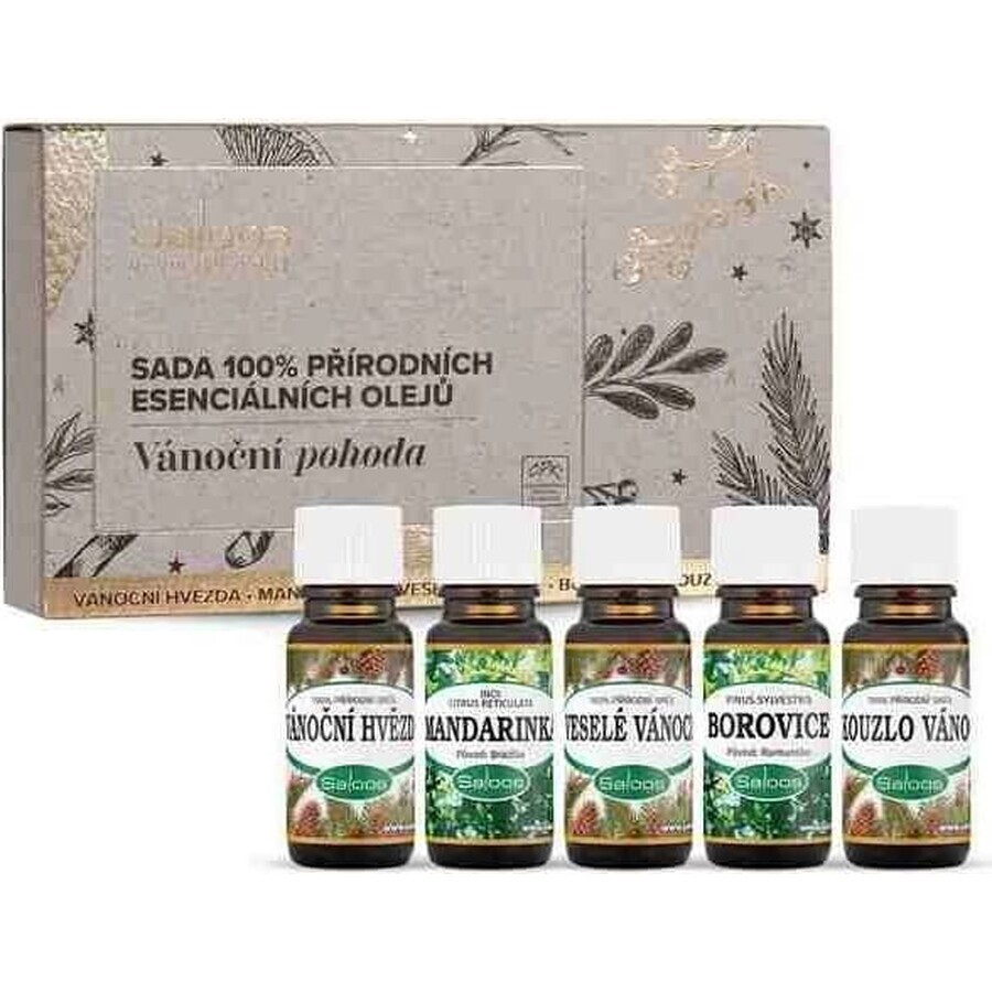 Saloos Kerstmis welzijn-set van etherische oliën 100% natuurlijk 5x10 ml, etherische olie set