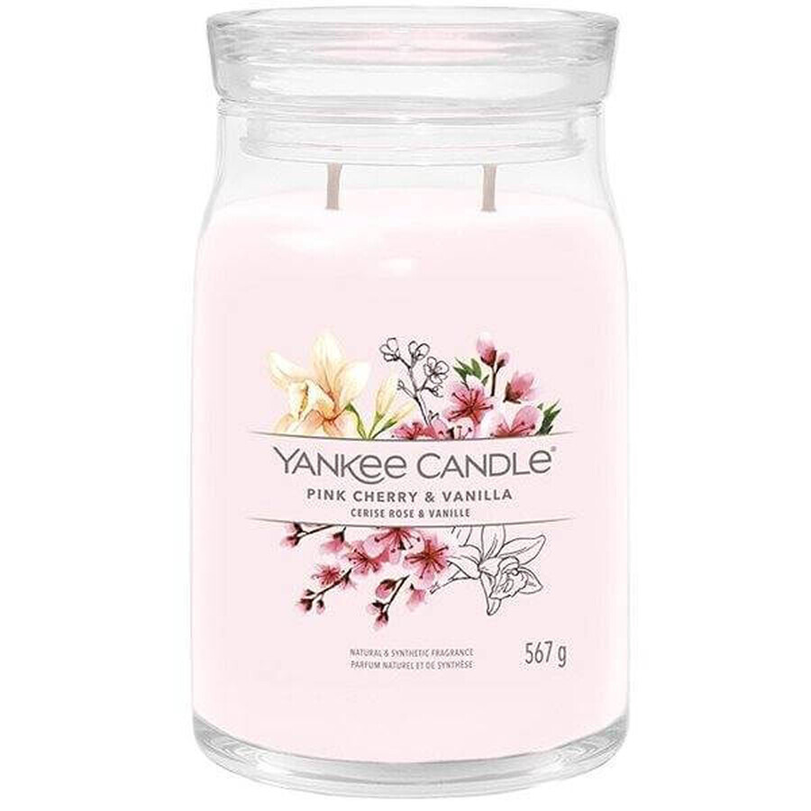 Yankee Candle Signature grote kaars Pink Cherry & Vanilla 1×567 g, geurkaars