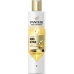 PANTENE MOLECUL.BOND REP.SHP BIOT.PRO-V 250ML 1×250 ml, shampoo for damaged hair