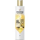 PANTENE MOLECUL.BOND REP.SHP BIOT.PRO-V 250ML 1×250 ml, shampoo for damaged hair