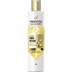 PANTENE MOLECUL.BOND REP.SHP BIOT.PRO-V 250ML 1×250 ml, shampoo for damaged hair