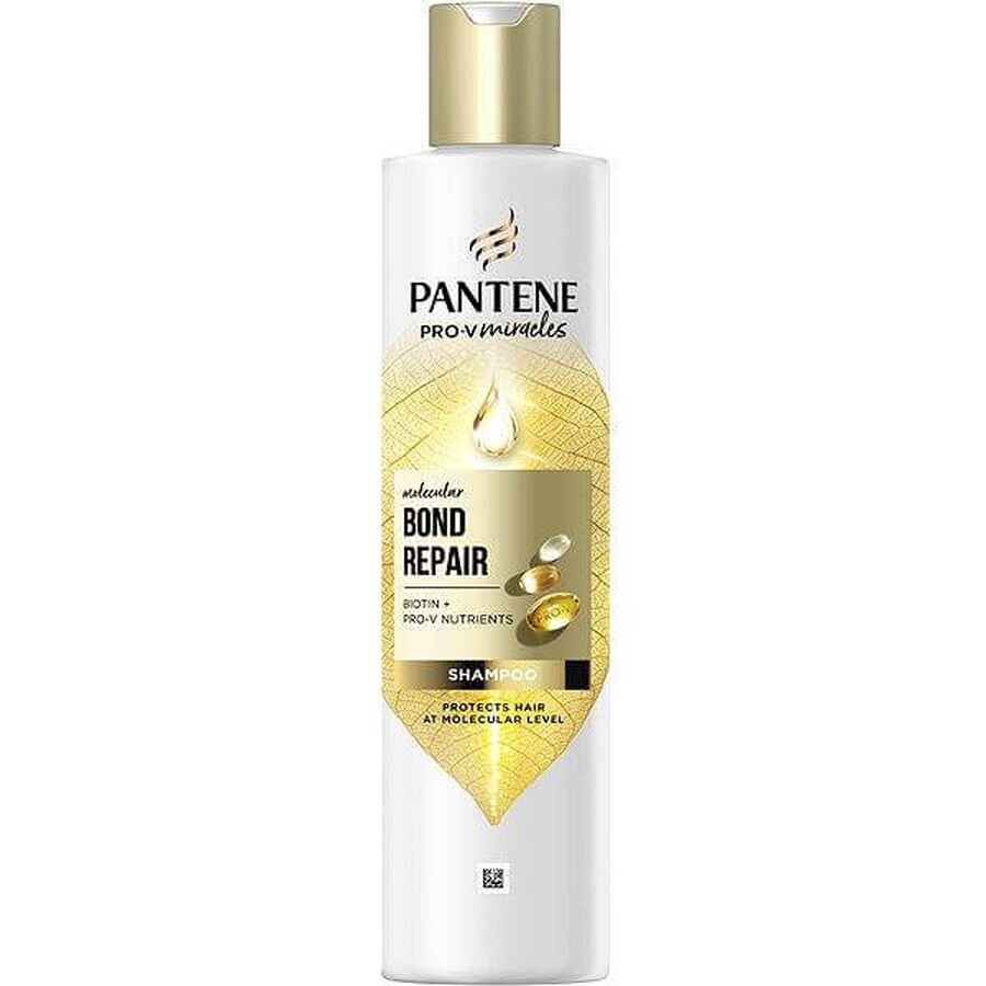 PANTENE MOLECUL.BOND REP.SHP BIOT.PRO-V 250ML 1×250 ml, shampoo for damaged hair