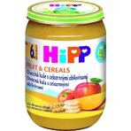 HIPP BIO Bouillie de fruits aux céréales complètes 1×190 g, hors-d'œuvre, 6m+