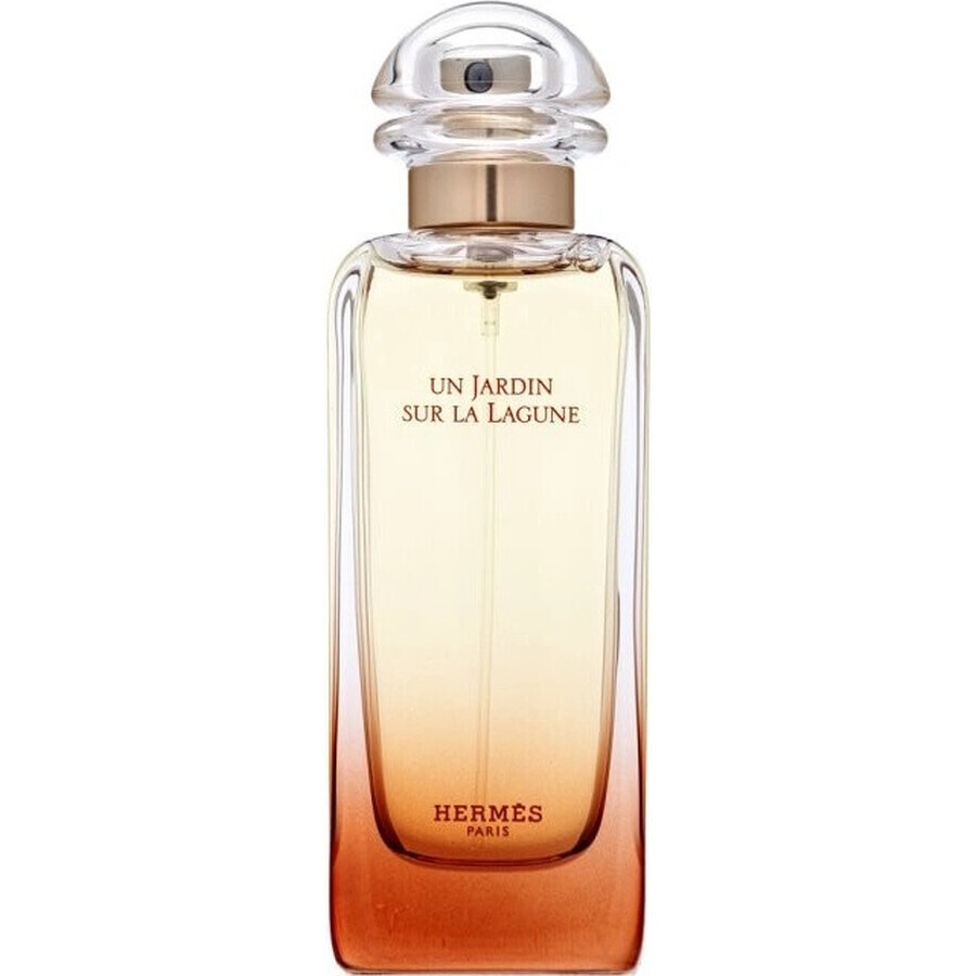 HERMES UN JARDIN SUR LA LAGUNE eau de toilette 1×100ml, eau de toilette voor dames en heren