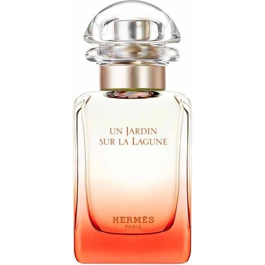 HERMES UN JARDIN SUR LA LAGUNE eau de toilette 1×100ml, eau de toilette voor dames en heren