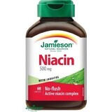 JAMIESON NIACINE 500 mg MET INOSITOL 1×60 tbl, niacine