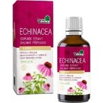 NaturProdukt ECHINACEA 1×50 ml drops