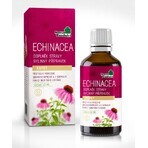 NaturProdukt ECHINACEA 1×50 ml drops