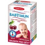 TEREZIA BABY BABY IMMUN syrup with hawthorn and sea buckthorn 1×100 ml, food supplement