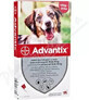 Advantix Spot-on voor honden van 10 tot 25 kg 1&#215;2,5 ml, pipet