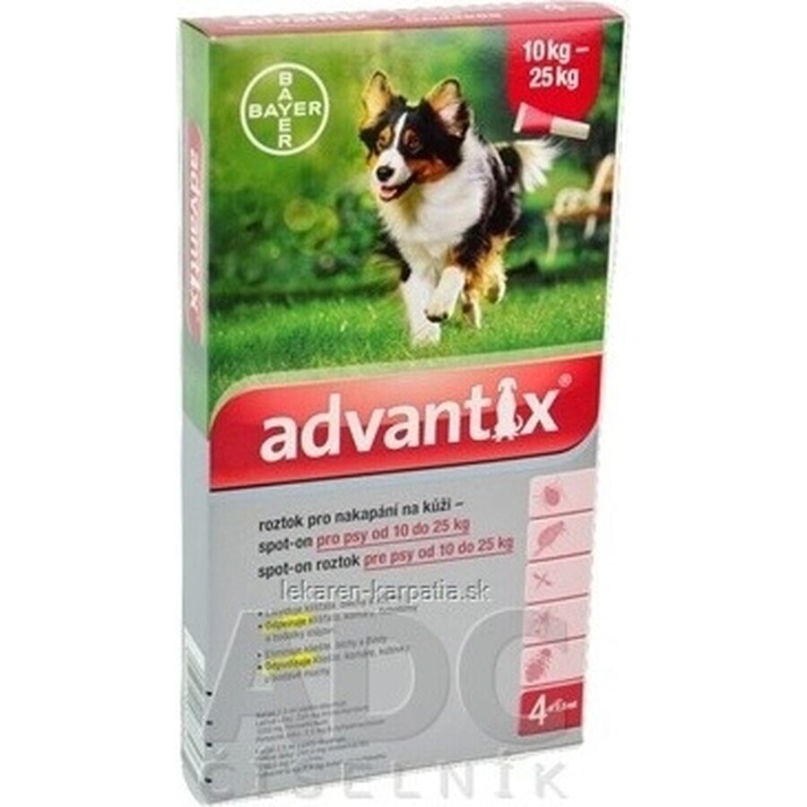 Advantix Spot-on voor honden van 10 tot 25 kg 1×2,5 ml, pipet