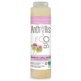 Eco Organic shampoo voor vet haar met klis en rozemarijn, 250 ml, Anthyllis
